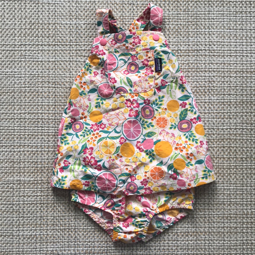 Patagonia Dress (Size 6m)